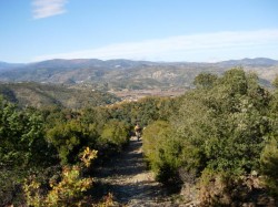 km9.4 à l'espinassère, le single dévale le ravin
