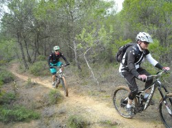 VTT-12018