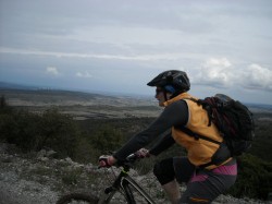 VTT-12038