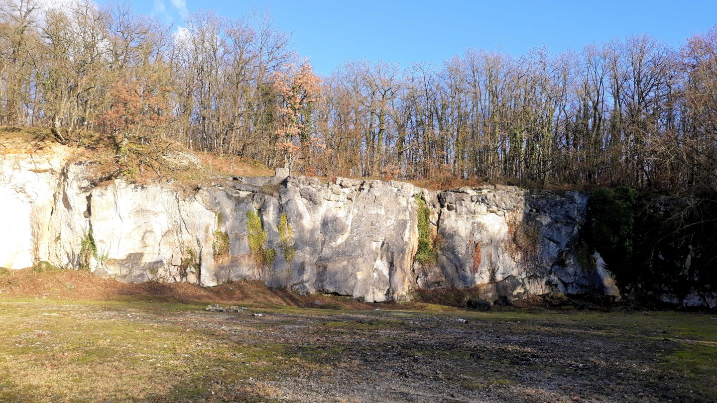 Des crêtes givernoises à l'arborétum de la Roche Guyon