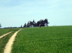Plateau de l'Aubrac