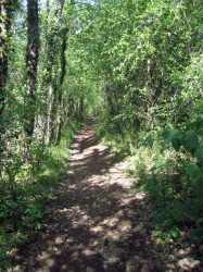 Descente sur Cajarc