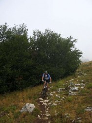 VTT-199