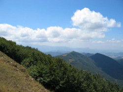 VTT-201