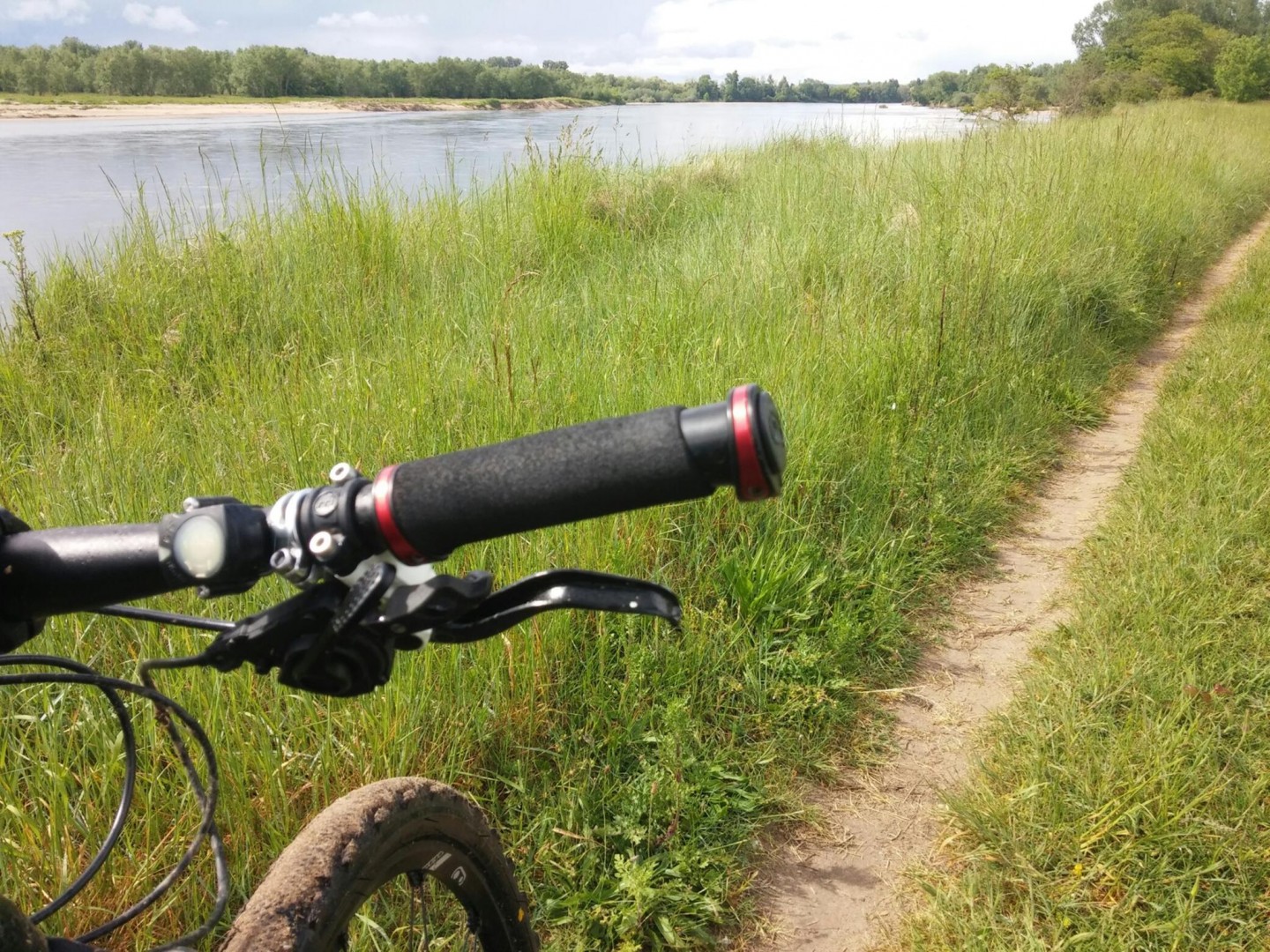 Entre bord de Loire et forêt