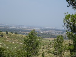 VTT-12279