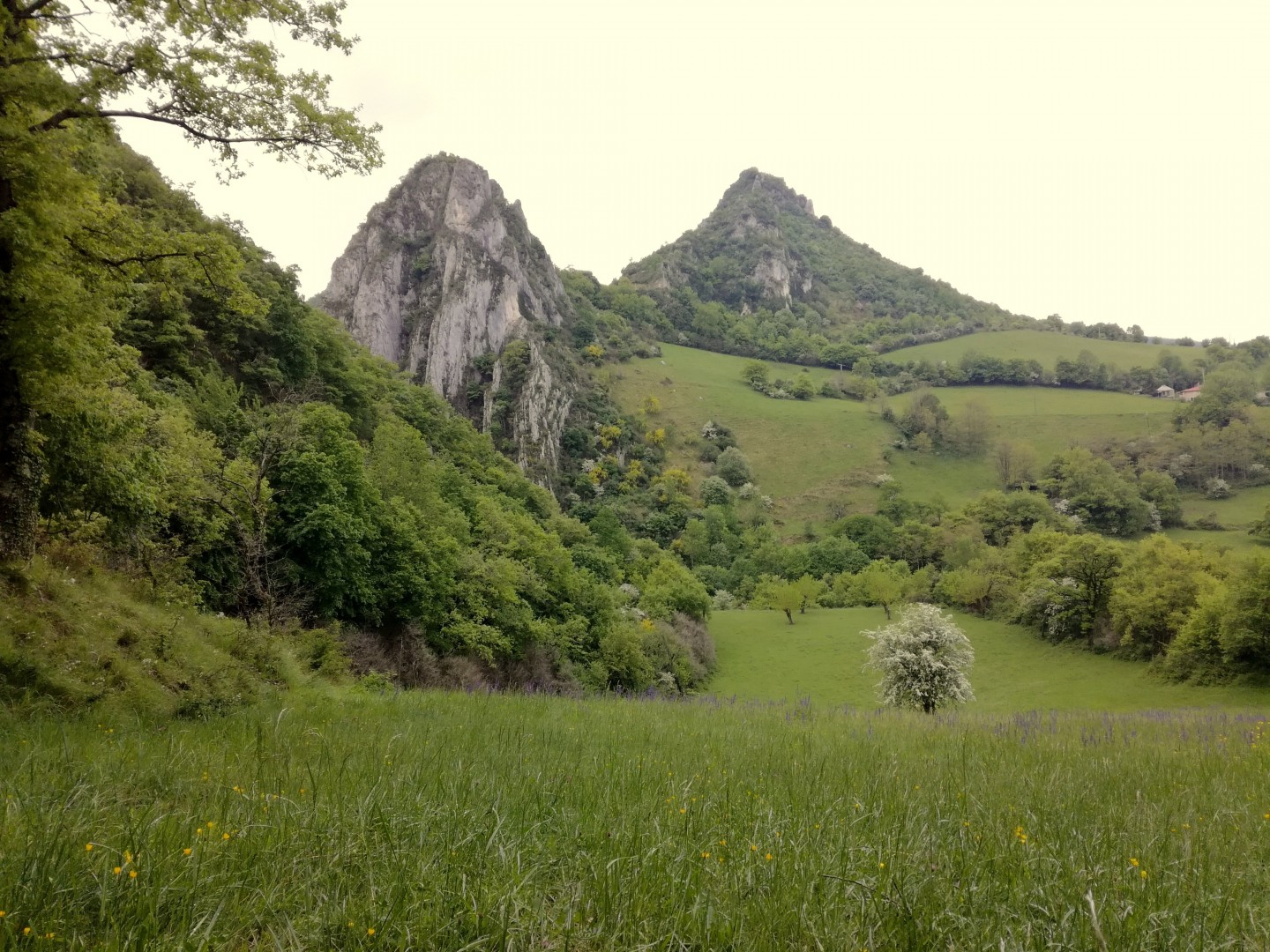 Entre champs et forêts