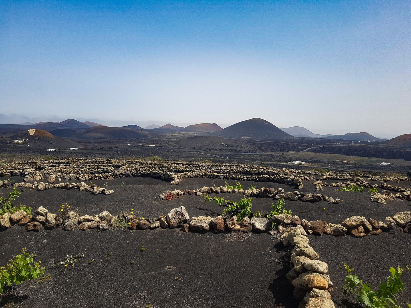 Lanzarote : Puerto del Carmen - Vignes de la Geria