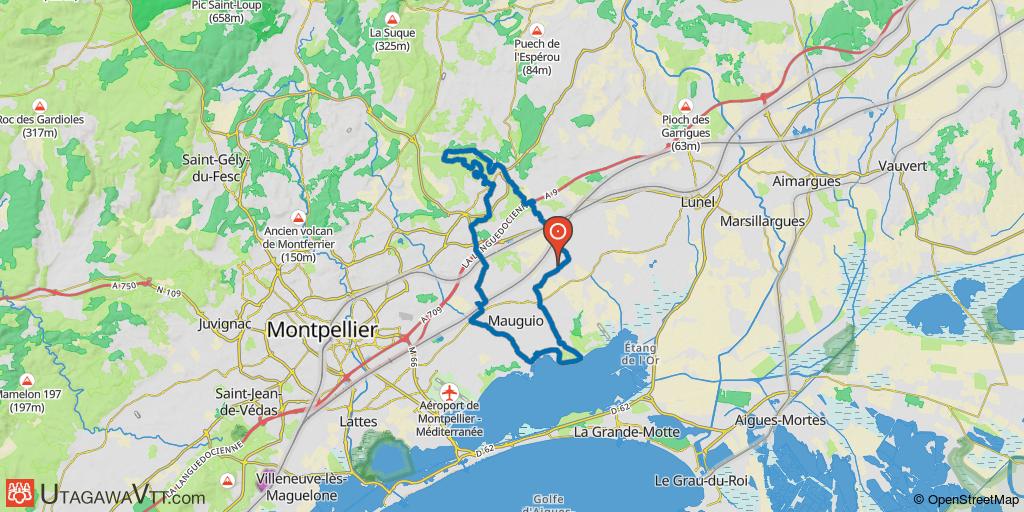 Mudaison - Fondespierre - Petite Camargue