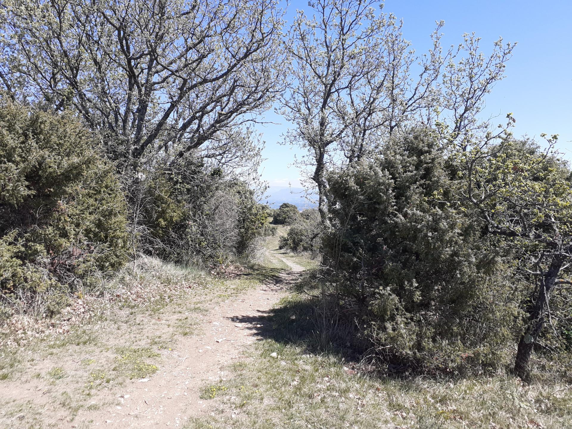 Le Teil - Saint-Thomé - Alba-la-Romaine