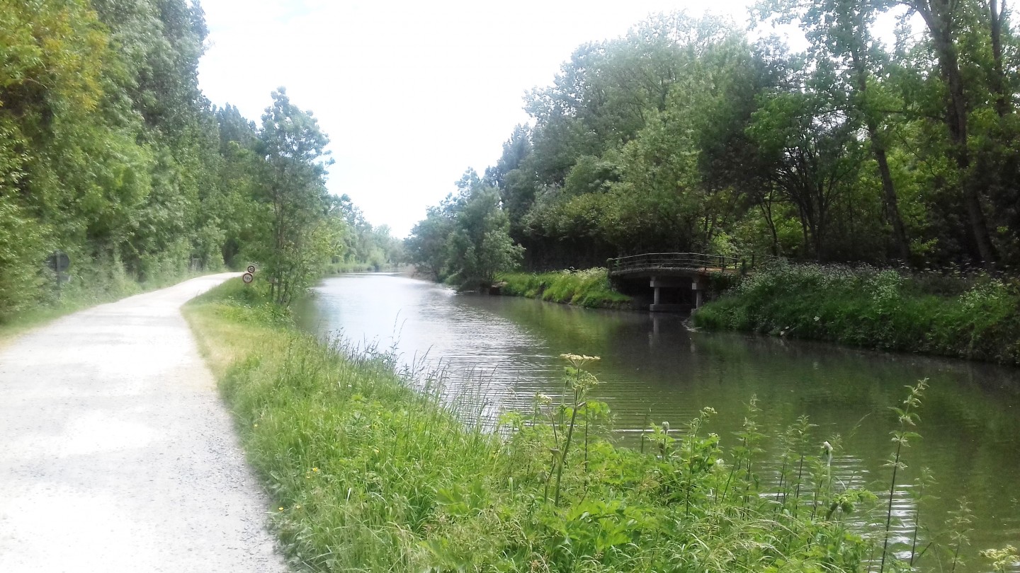 Le Marais sauvage