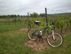VTT-12399