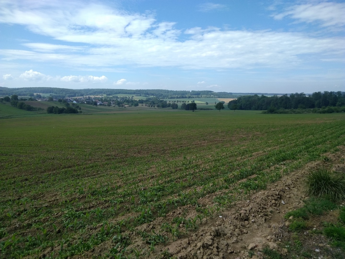 Rando de Carspach 2018 - 55 km