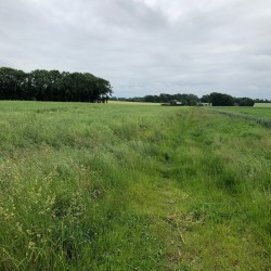 La campagne Normande