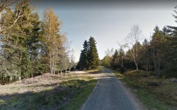 Elsassblick - CF du Hengsthal