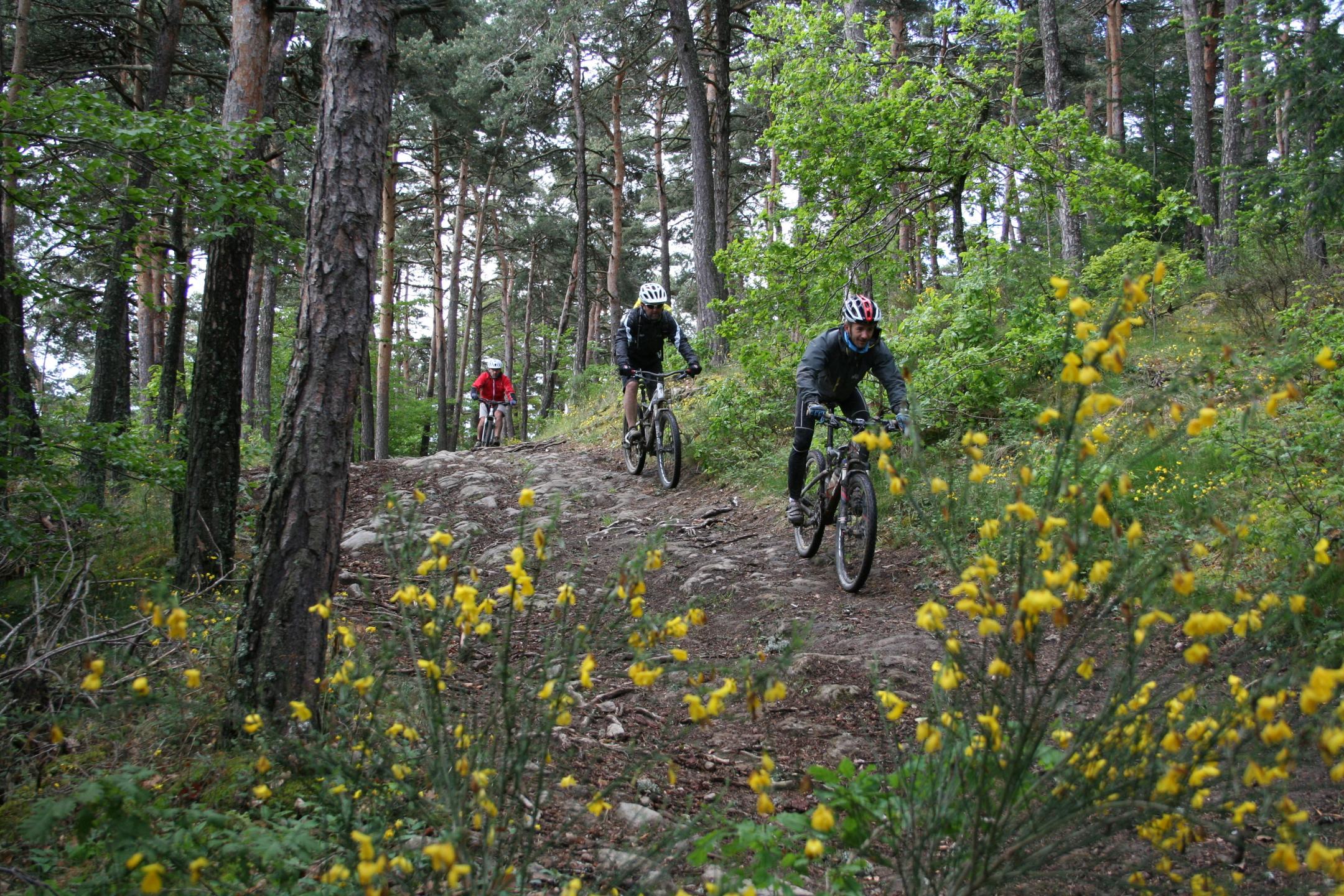 Espace VTT-FFC Les gorges de l'Allier - Circuit N°4 Sur les pas des mineurs