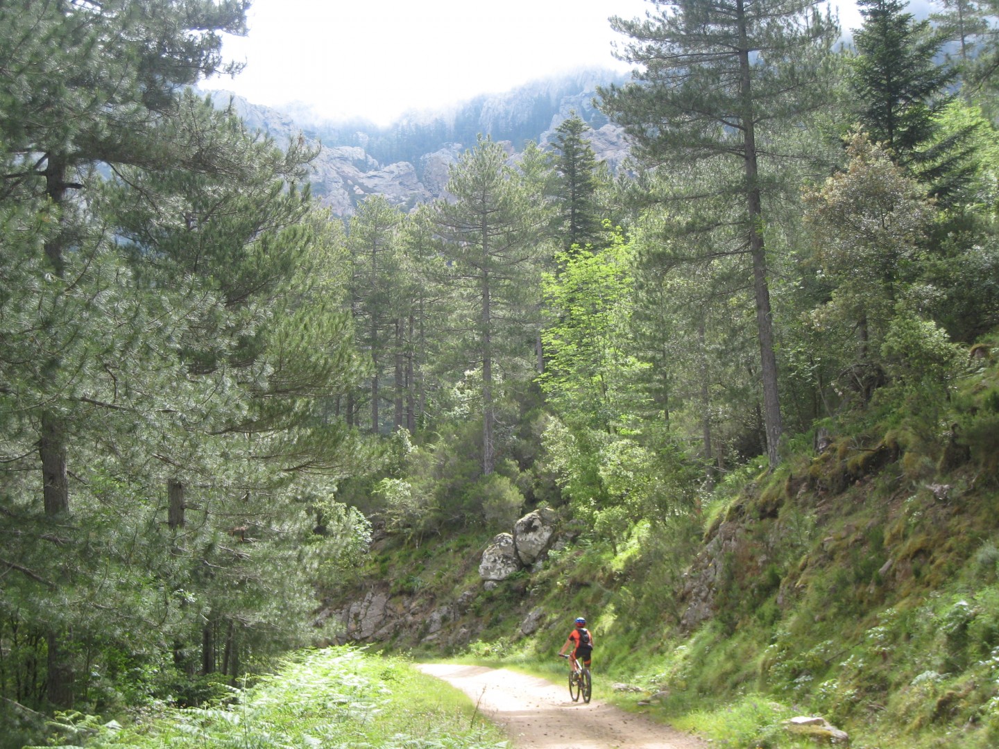 Sous les aiguilles de Bavella