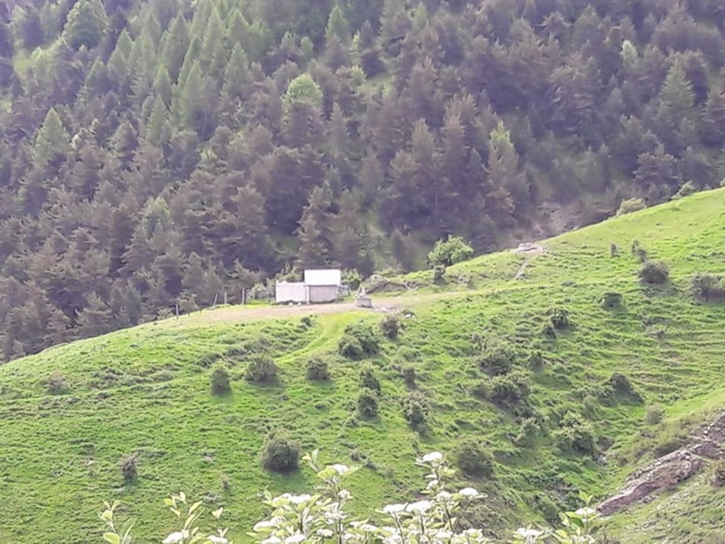 Bayons - Grande Cabane
