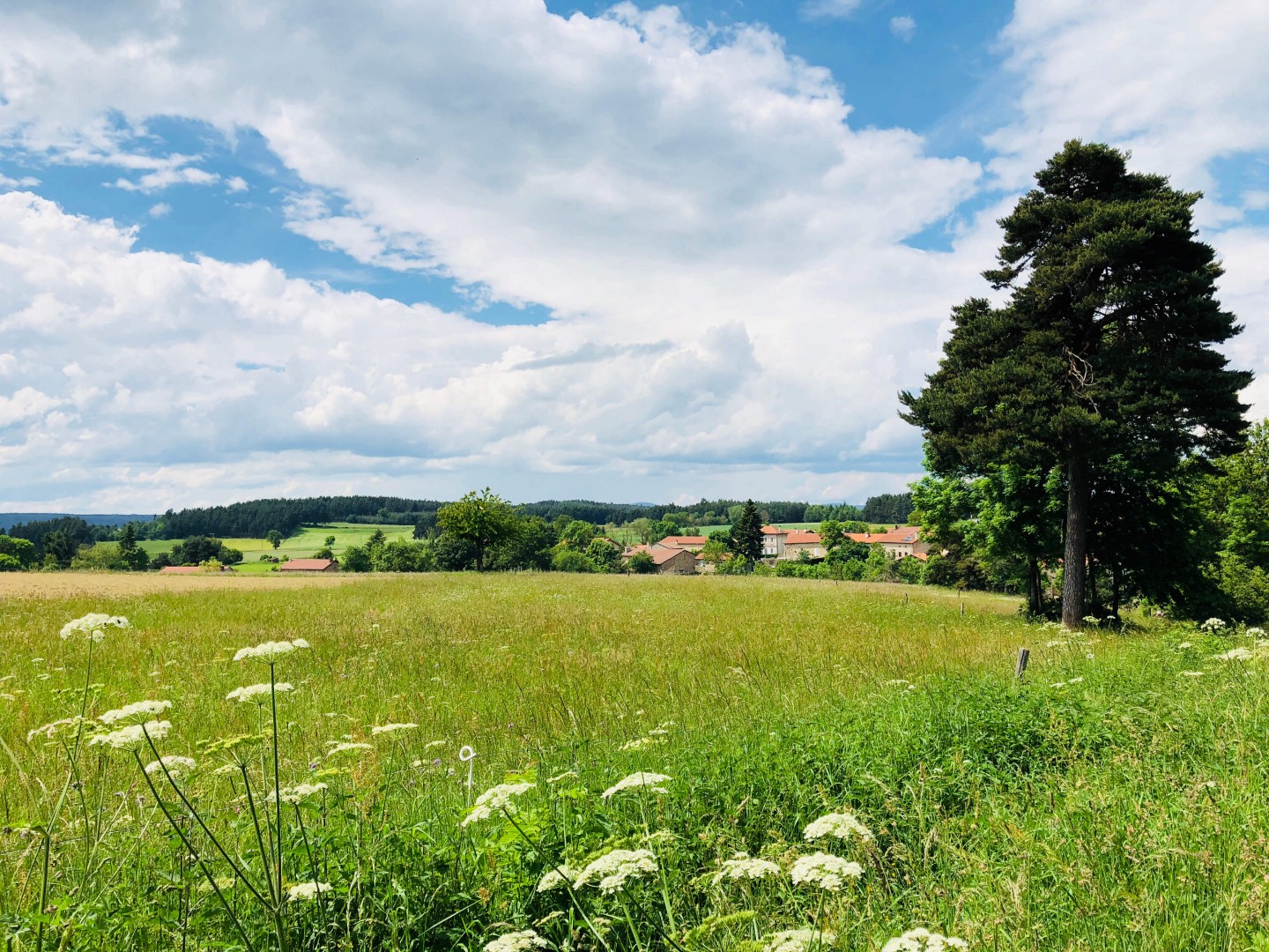 Craponne-sur-Arzon