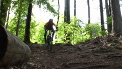 VTT-767