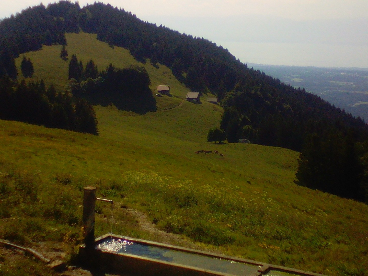 Mont Baron - Version courte