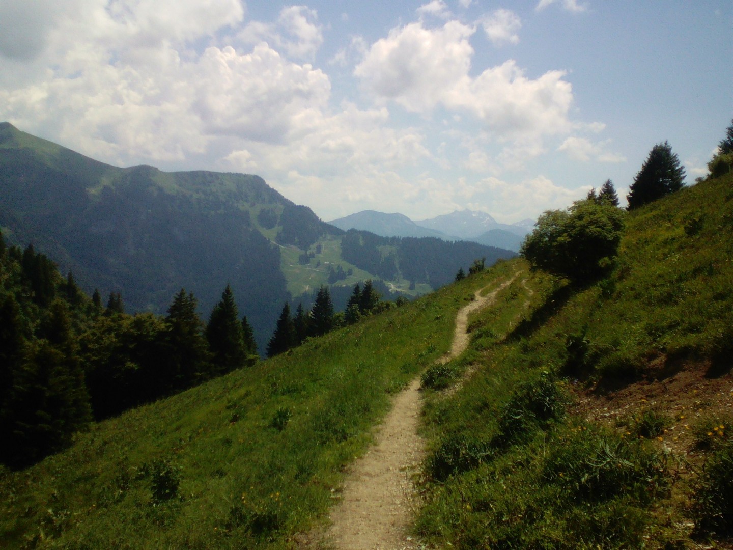 Montagne des Mémises - Descente technique