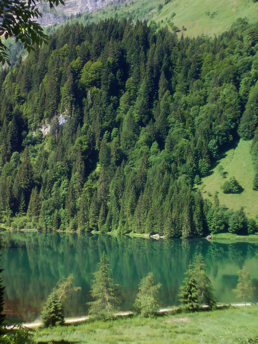 Les 1000 m du Mont de Grange