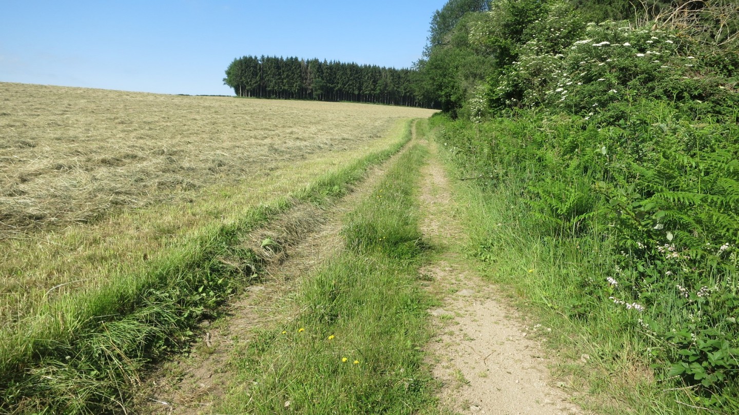 Tour des Combrailles - Etape 4/5 : Laschamps - Prondines