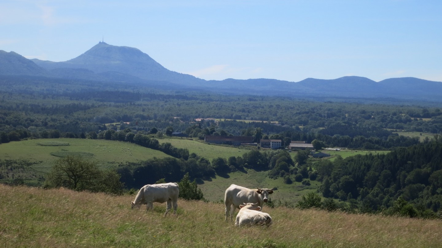 Tour des Combrailles - Etape 5/5 : Prondines - Manzat