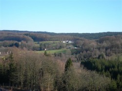 Paysage 2