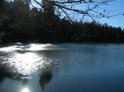 Paysage 3