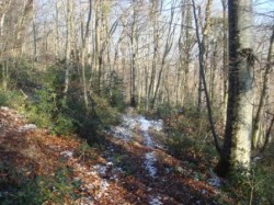 Apercu du single pour descendre sur Laviron