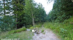 VTT-12984