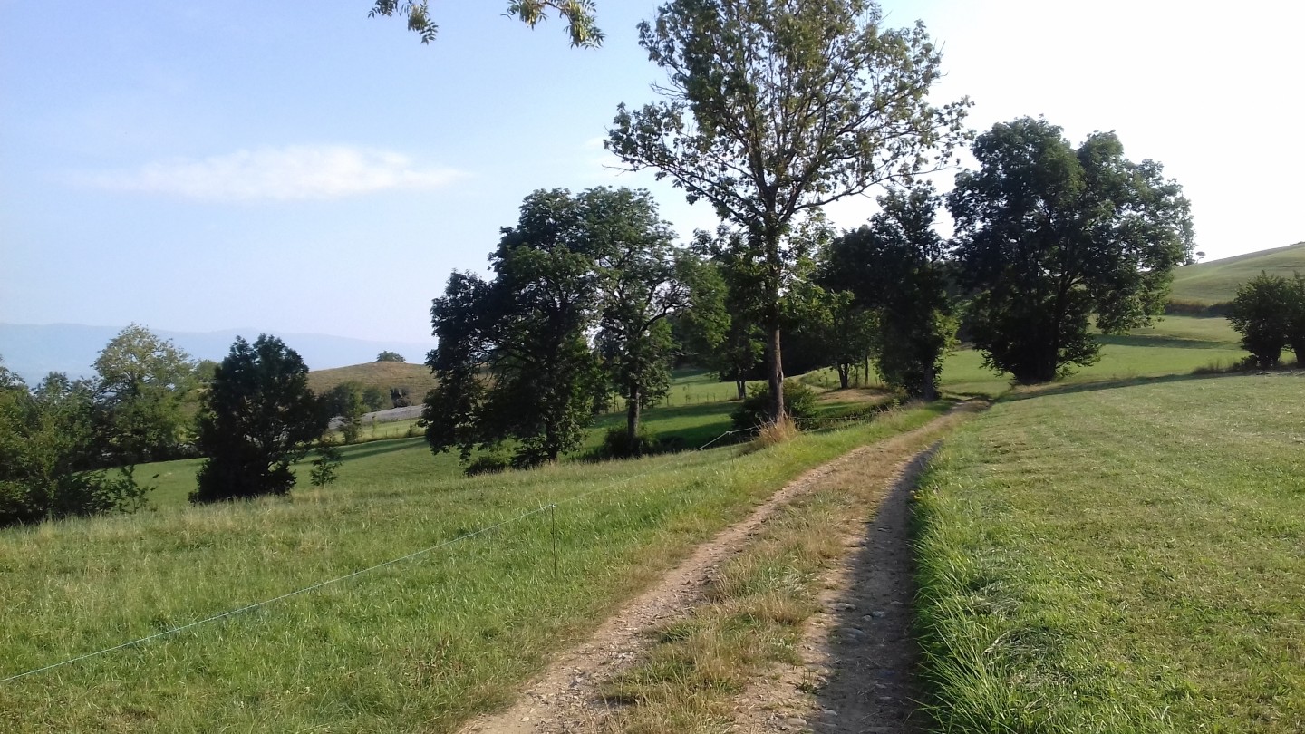 Boucle au pied du Salève