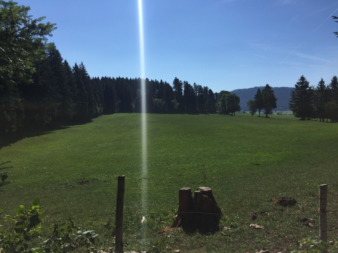 Circuits 6, 7 et 8 du lac de Saint-Point