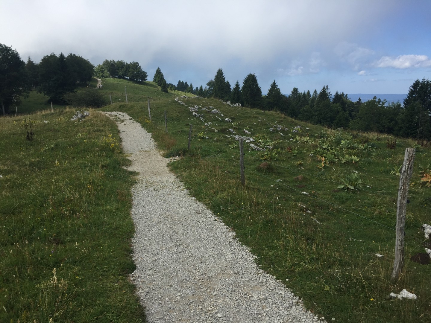 Circuits 6 - 8 et 77 de Malbuisson