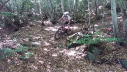 VTT-13080