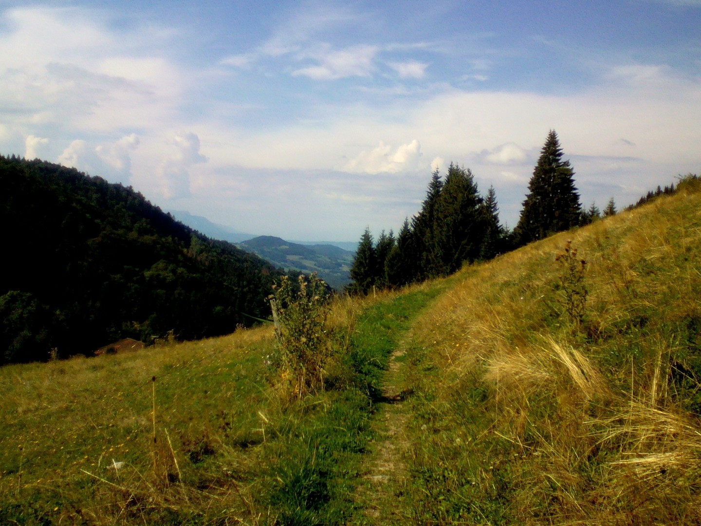 Cols des Moises, du Feu, des Arces