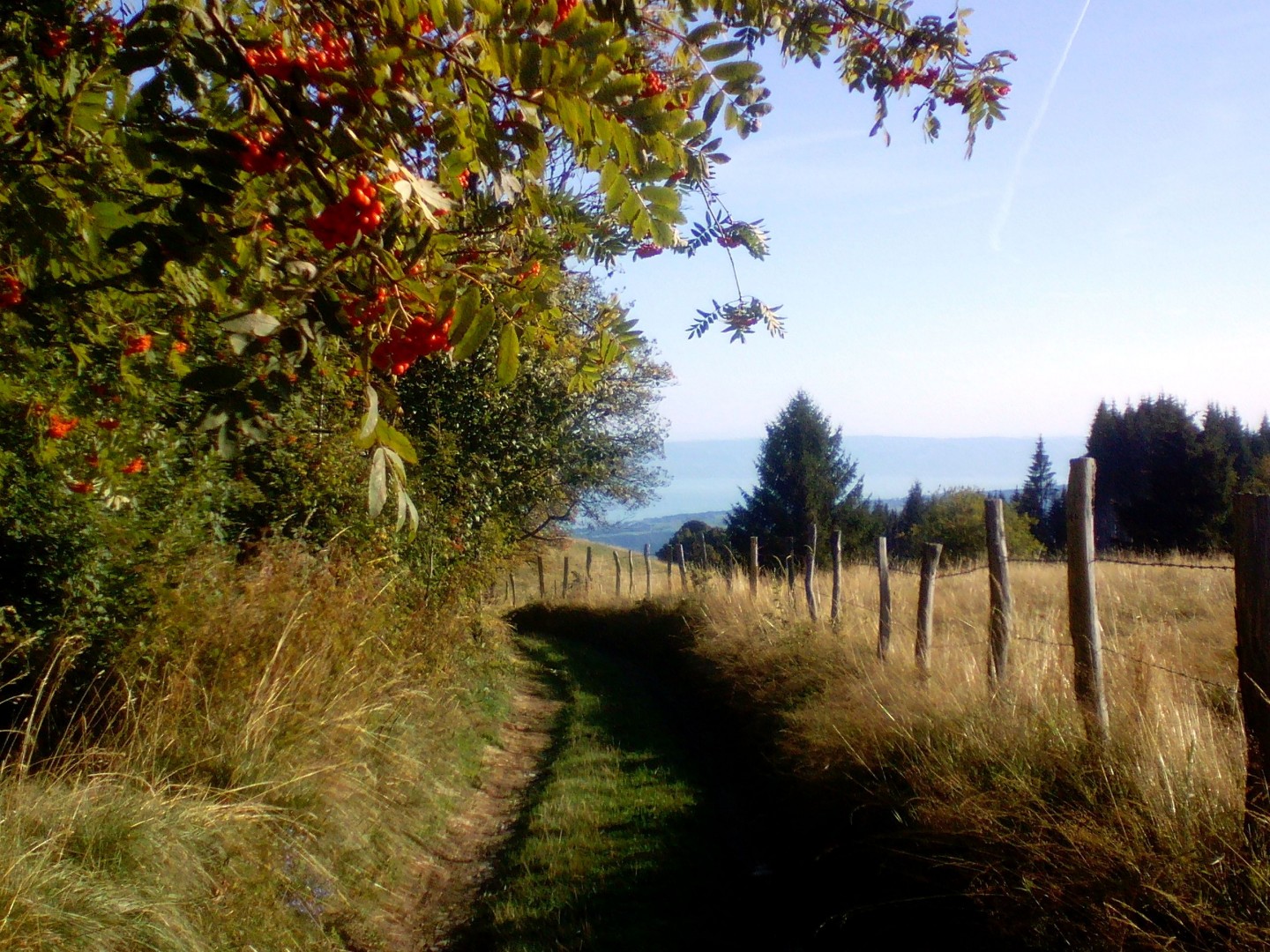 Tour du Mont Forchat