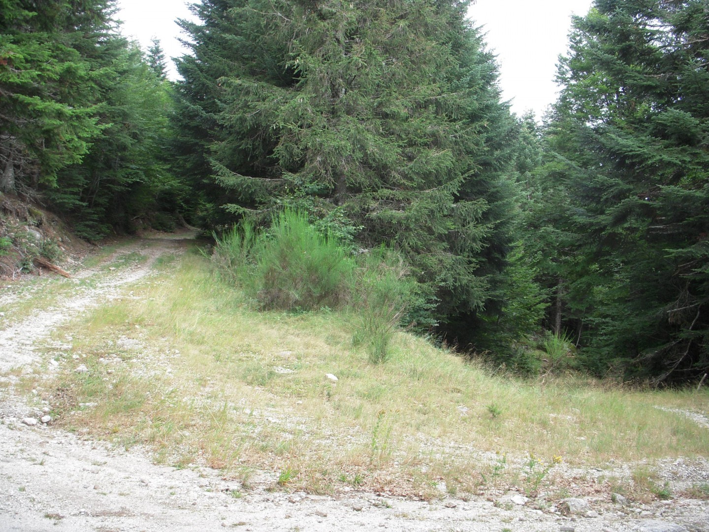 Dourbies - Lac des Pises
