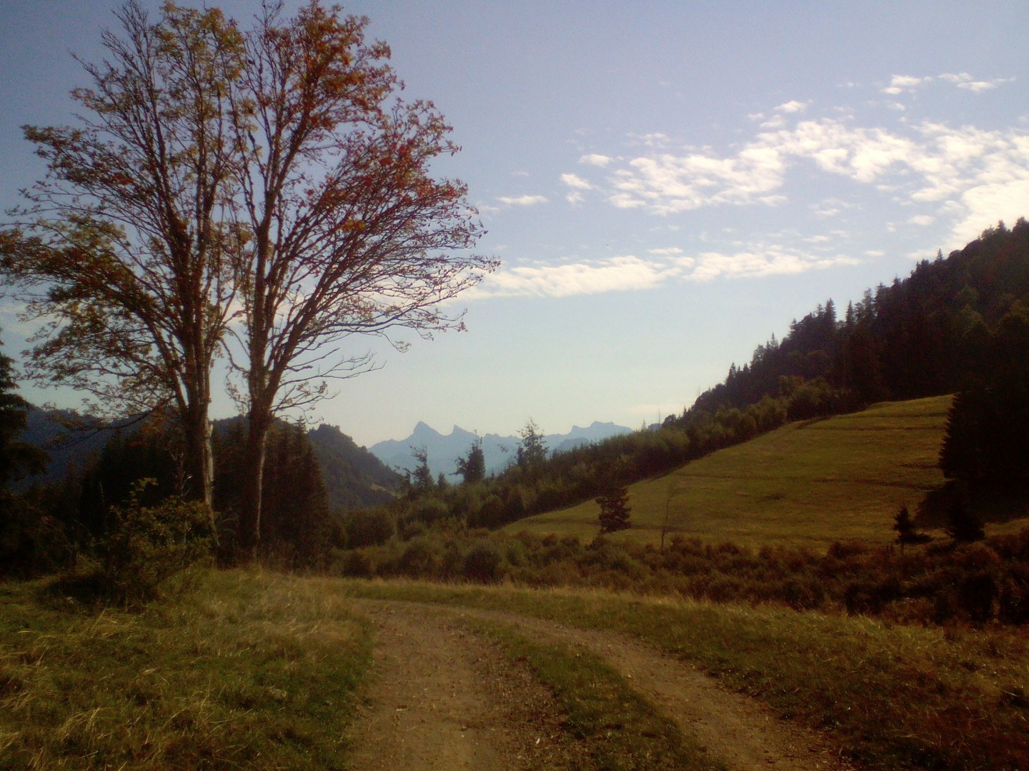 Cervens - Très-le-Mont - Rézier