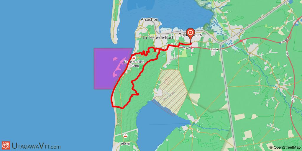 Le bassin d'Arcachon entre forêt et océan