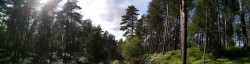 Massif de Poigny la Forêt