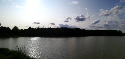 Etang de la Tour
