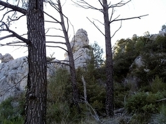 La Roquebrussanne - La Loube