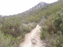VTT-2964