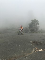 VTT-13282