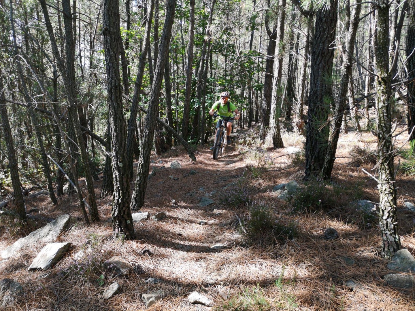 Rando de Planzolles - Petit parcours - 28 km