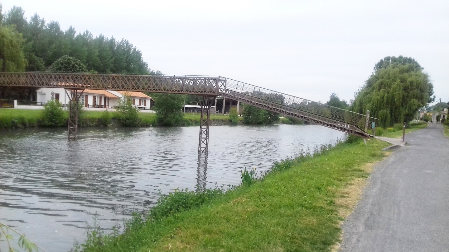 Grande balade dans le marais poitevin
