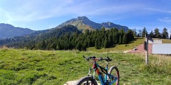 VTT-13365